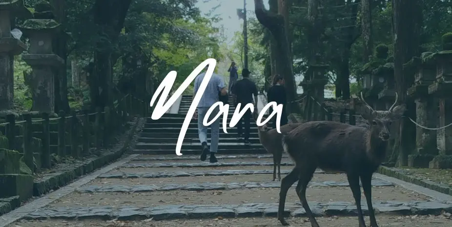 que hacer en Nara
