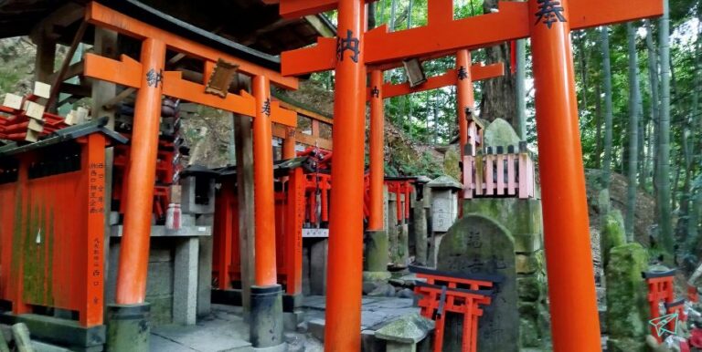visita Fushimi Inari