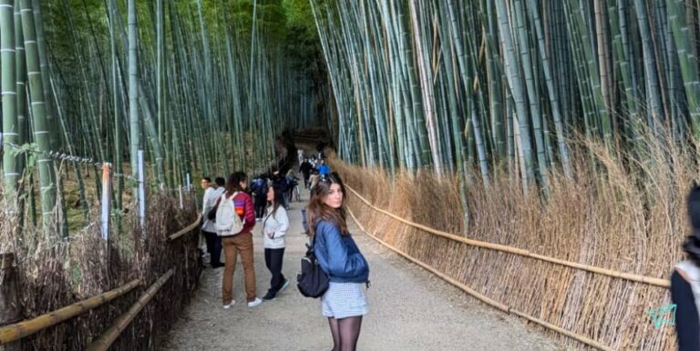 Arashiyama japón (5)