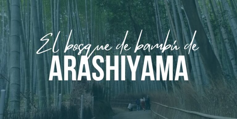 bosque bambú