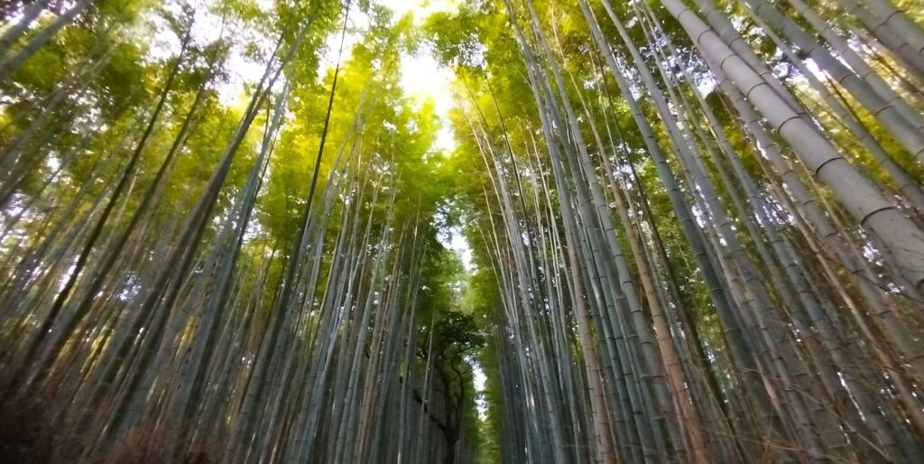 Arashiyama japón