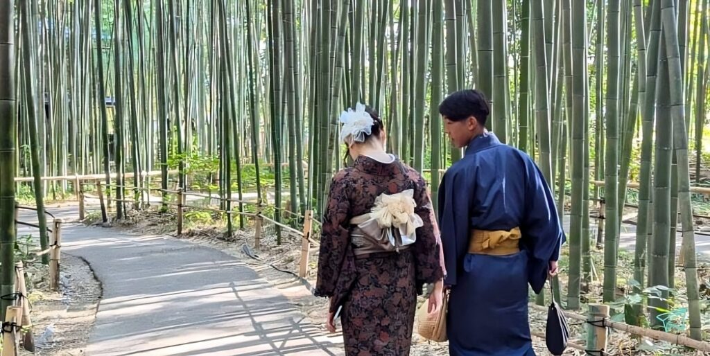Bosque bambú japon