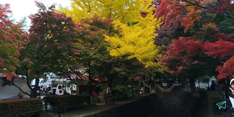 Corredor lago Kawaguchi