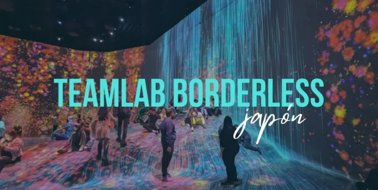 TeamLab Borderless japón