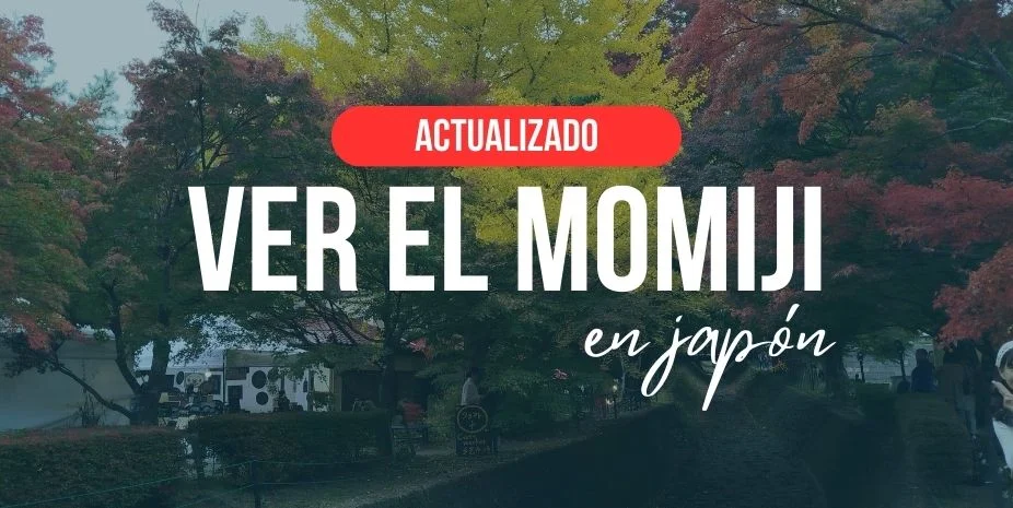 Momiji en Japón